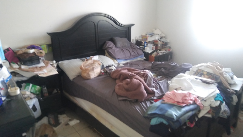 Estate Cleanout
